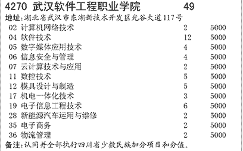 IT外包服务:助力企业高效转型