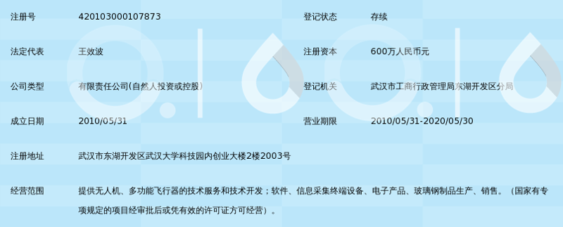 武汉软件开发：技术之花绽放的时代光芒